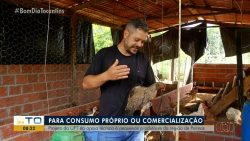 video:-bom-dia-tocantins-de-quinta-feira,-18-de-janeiro-de-2024